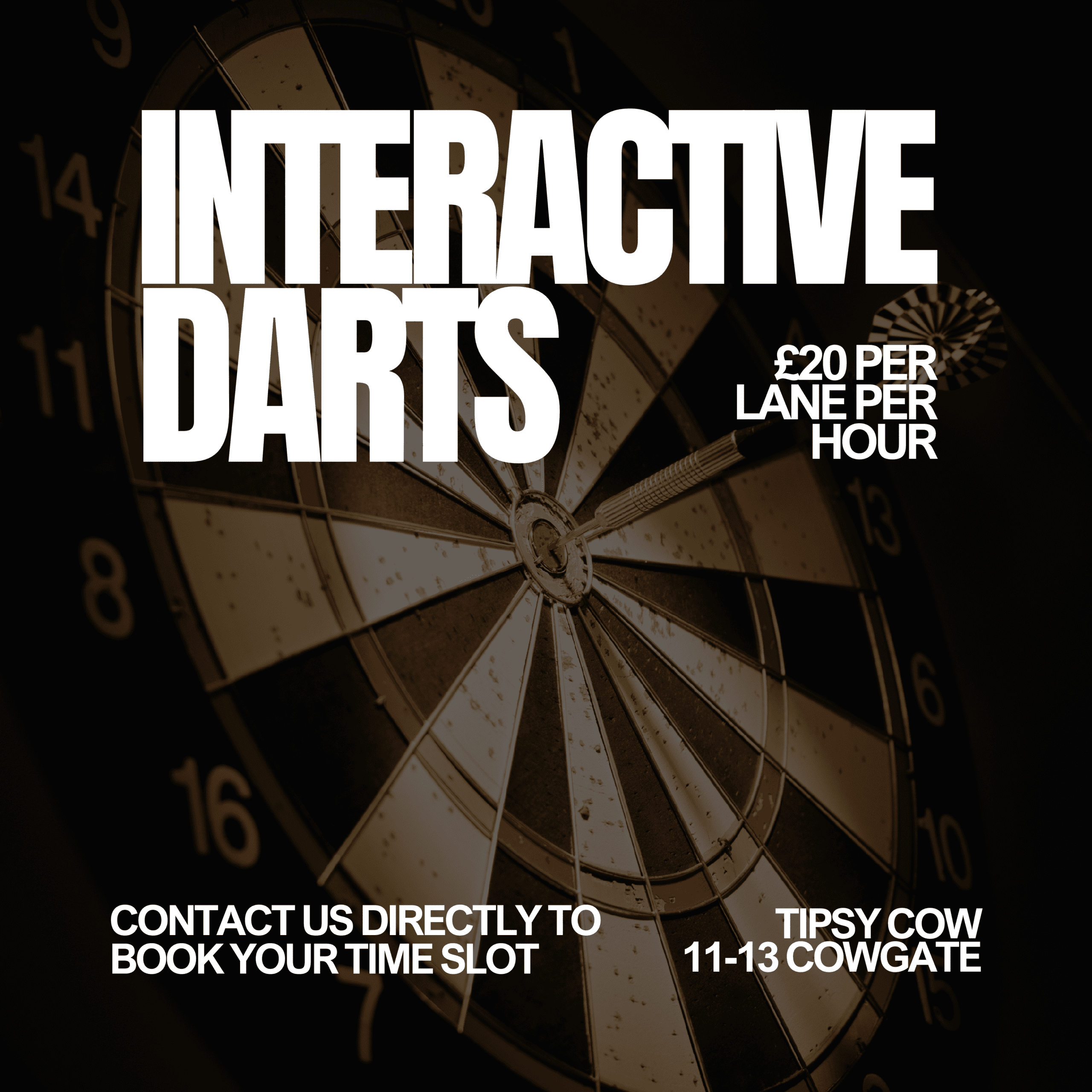 peterborough interactive darts